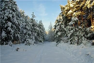 CDPR：《赛博朋克2077》真人版2024年不会有